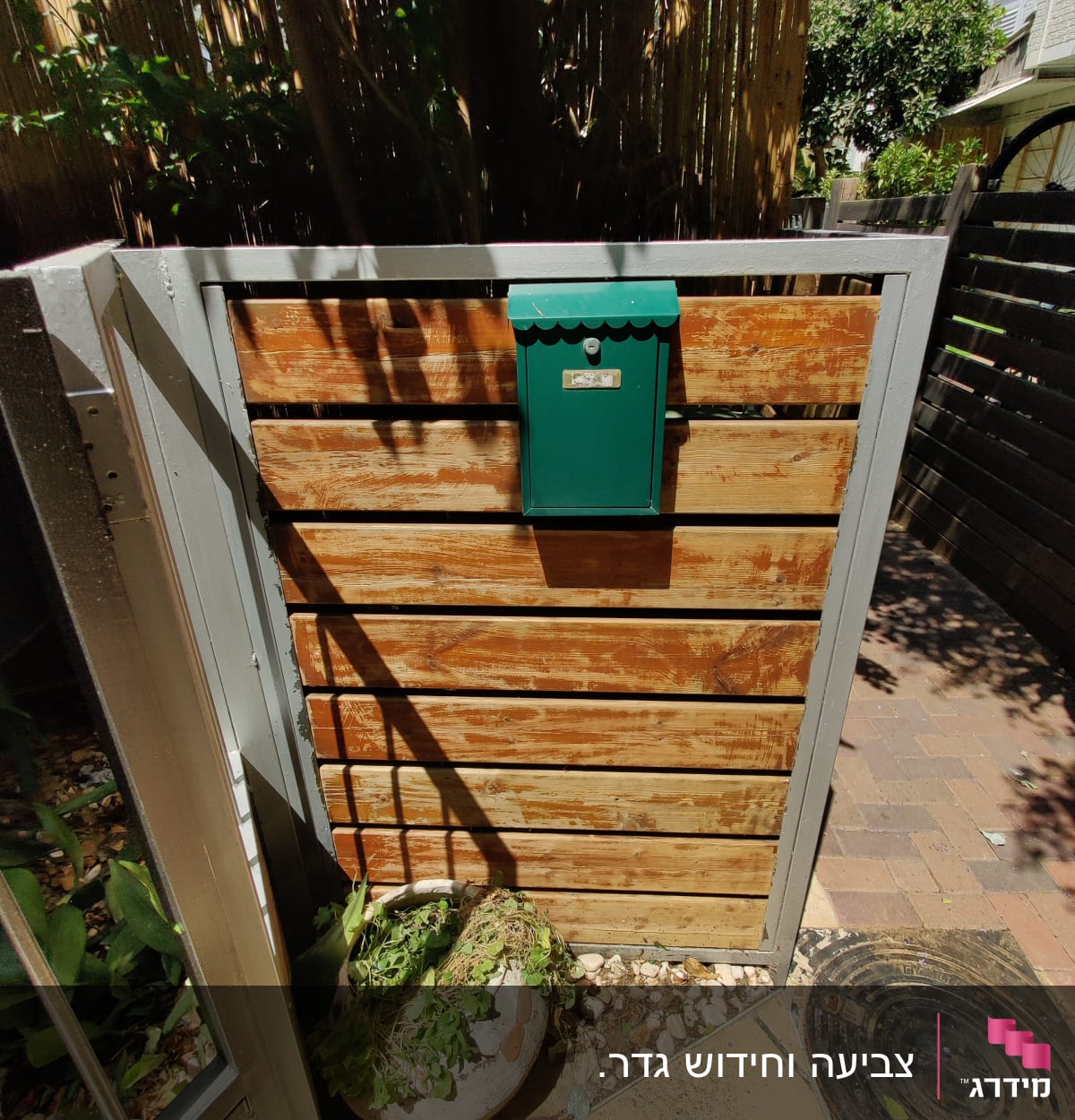 תיבת דואר ירוקה על גדר עץ עם צמחייה